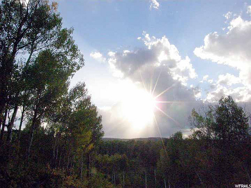 #266, Heber City, UT 84032 — photo 4