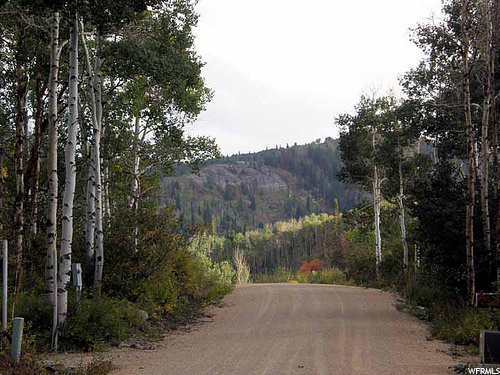 #266, Heber City, UT 84032 — photo 5