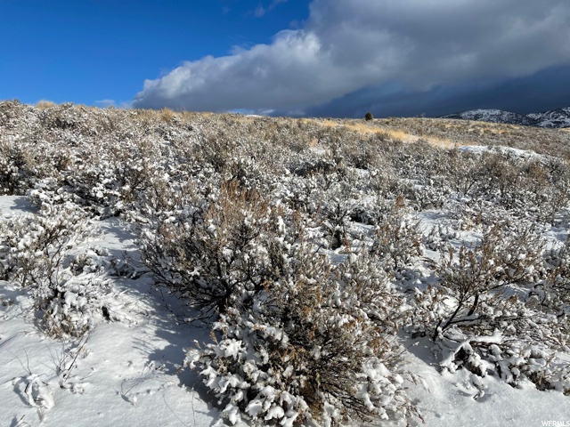 #3, Malad City, ID 83252 — photo 3