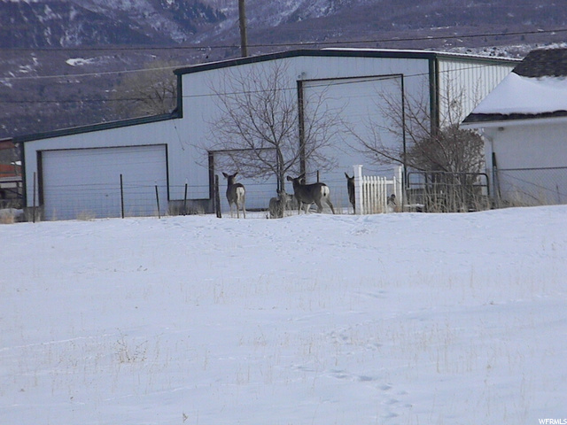 667 E Main, Mt Pleasant, UT 84647 — photo 12