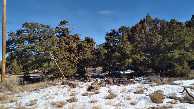 #205, Fruitland, UT 84027 — photo 7
