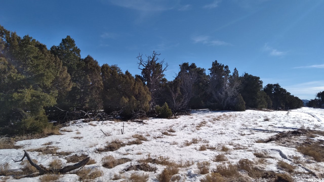 #205, Fruitland, UT 84027 — photo 5