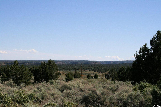 1282 E Red Sage Ln, Apple Valley, UT 84737 — photo 2