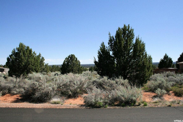 1282 E Red Sage Ln, Apple Valley, UT 84737 — photo 4