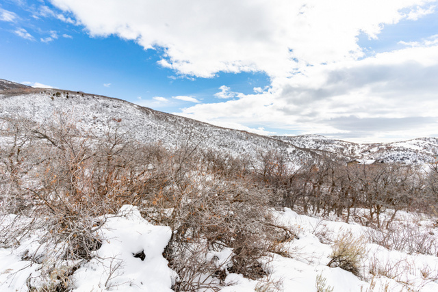 11554 N Soaring Hawk Ln #51, Hideout, UT 84036 — photo 12