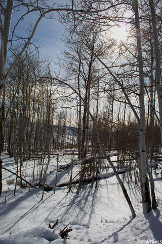 #49, Scofield, UT 84526 — photo 10