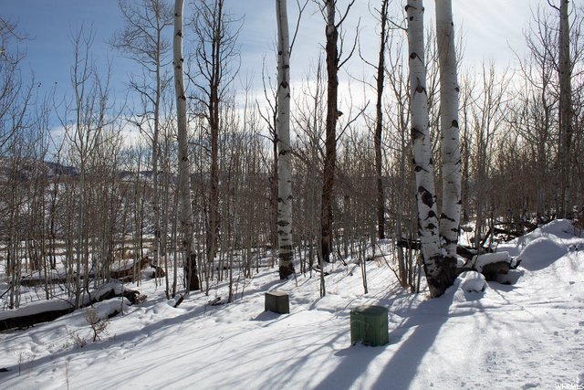 #49, Scofield, UT 84526 — photo 6