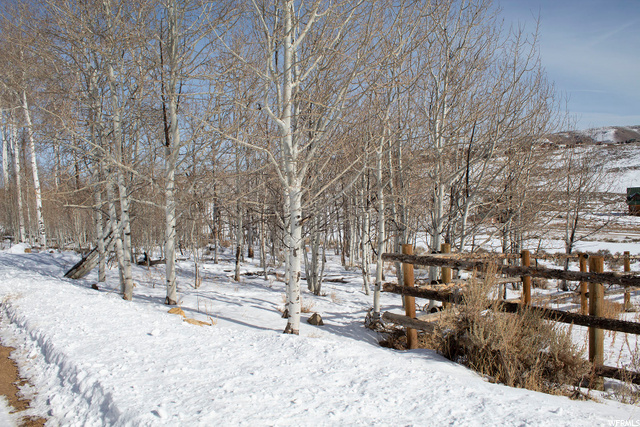 #49, Scofield, UT 84526 — photo 12