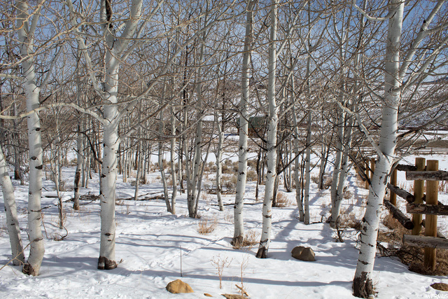 #49, Scofield, UT 84526 — photo 4
