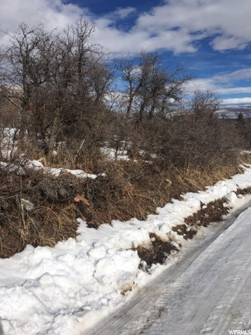 #12, Midway, UT 84049 — photo 9