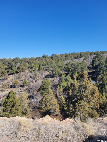 #44, Fruitland, UT 84027 — photo 11