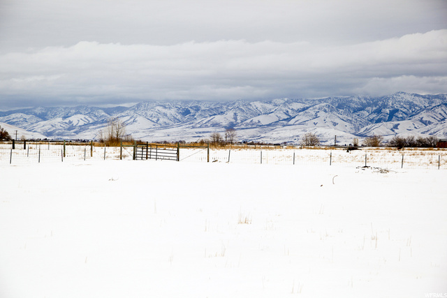 12180 N 4800 W, Cornish, UT 84308 — photo 11