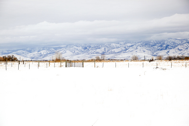 12180 N 4800 W, Cornish, UT 84308 — photo 12