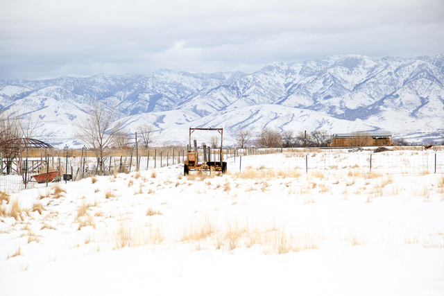 12180 N 4800 W, Cornish, UT 84308 — photo 4