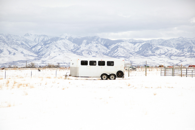 12180 N 4800 W, Cornish, UT 84308 — photo 5