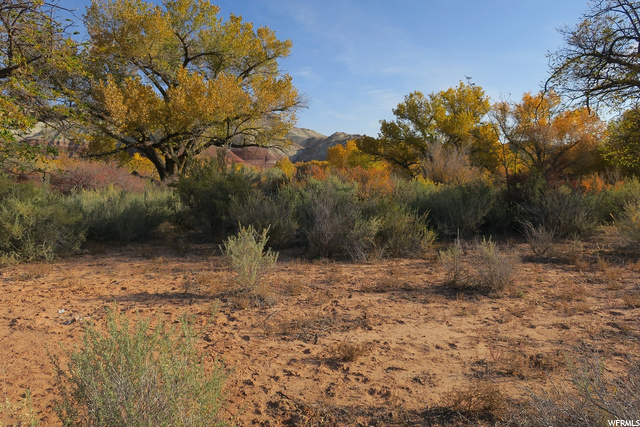 6000 E Highway 24 S, Torrey, UT 84775 — photo 3