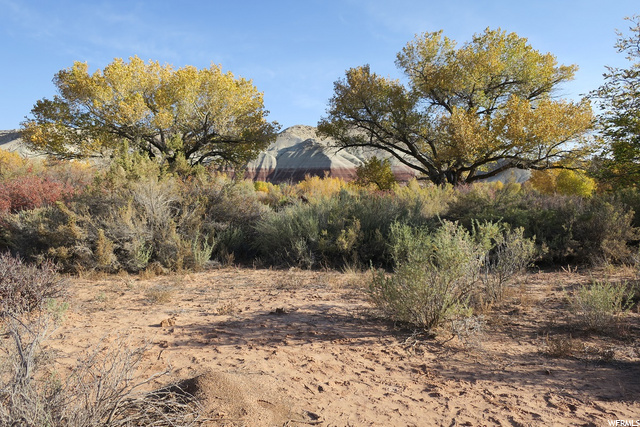 6000 E Highway 24 S, Torrey, UT 84775 — photo 2
