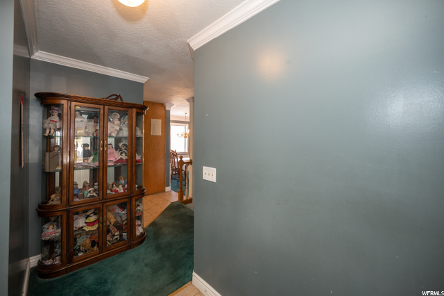 2447 E Robidoux Rd, Sandy, UT 84093 — photo 6