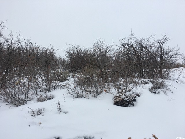 11343 N Soaring Hawk Ln #5, Hideout, UT 84036 — photo 4