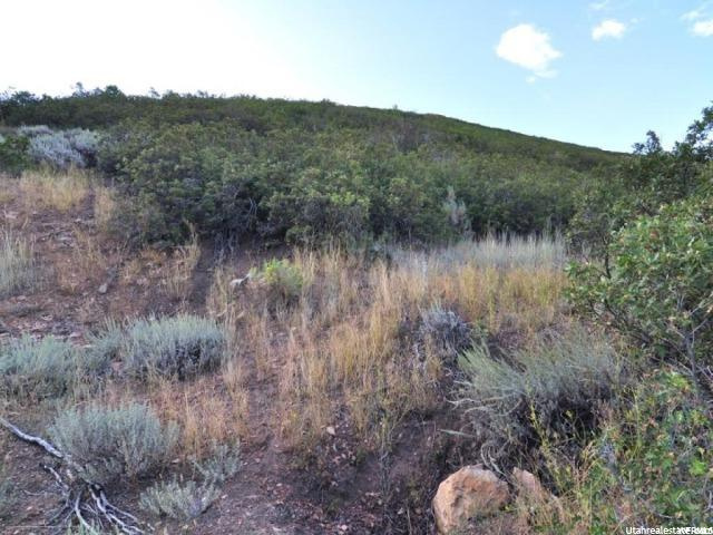 41 Lucerne Dr #41, Midway, UT 84049 — photo 7