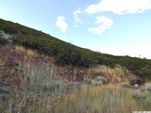 41 Lucerne Dr #41, Midway, UT 84049 — photo 3