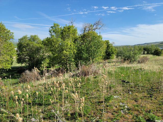 8260 N Highway 91, Smithfield, UT 84335 — photo 6