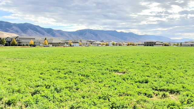 80 600, Smithfield, UT 84335 — photo 5