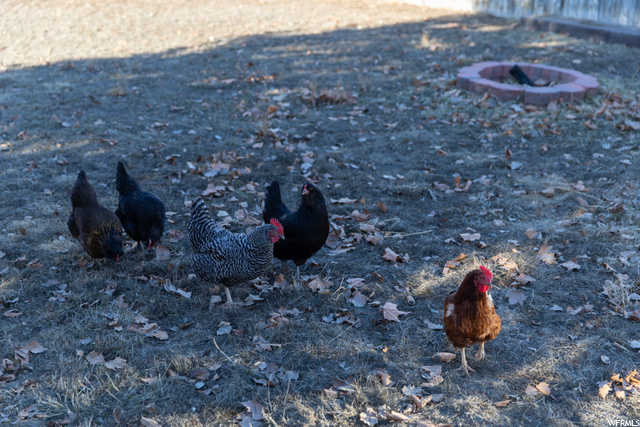 2686 W 1650 N, Clinton, UT 84015 — photo 7