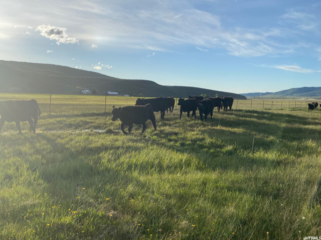 1889 N 2000 W, Kamas, UT 84036 — photo 4