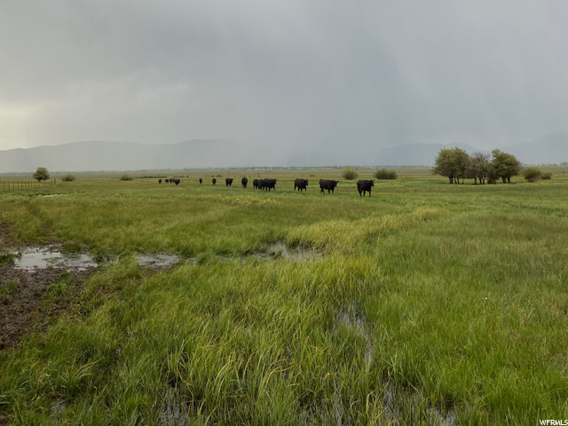 1889 N 2000 W, Kamas, UT 84036 — photo 9