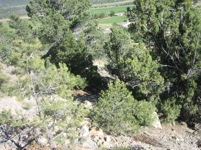 E Red Hill Rd #22, Central, UT 84722 — photo 7