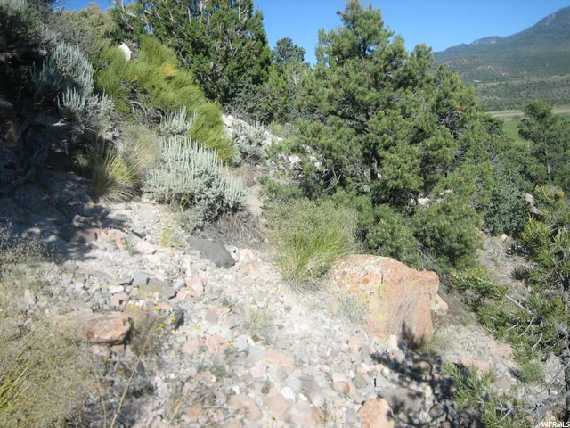E Red Hill Rd #22, Central, UT 84722 — photo 6