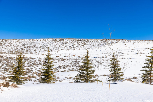 6228 Double Deer Loop #1, Park City, UT 84098 — photo 12