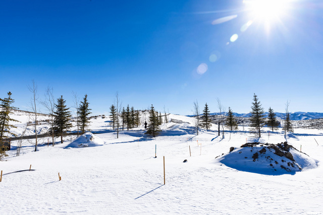 6228 Double Deer Loop #1, Park City, UT 84098 — photo 9