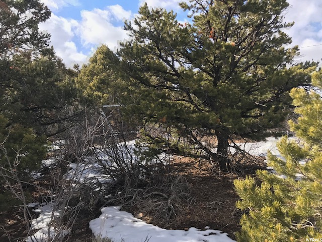 1032 E Tabby Access Rd, Tabiona, UT 84072 — photo 8