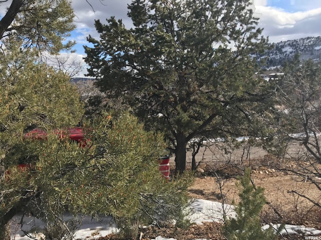 1032 E Tabby Access Rd, Tabiona, UT 84072 — photo 9