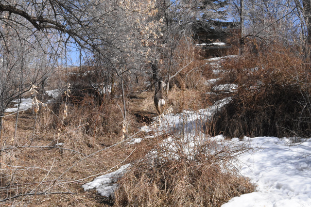 1410 E 1980 N, North Logan, UT 84341 — photo 4