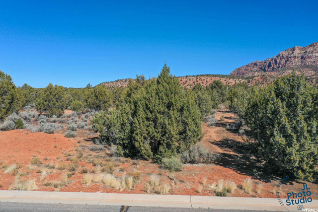1295 E Cedar Dr, Apple Valley, UT 84737 — photo 2