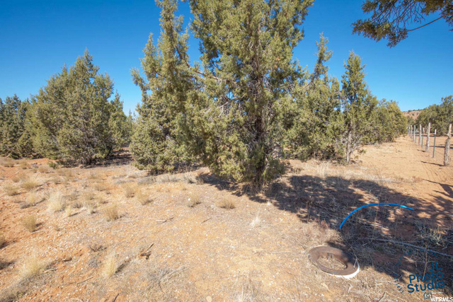 1295 E Cedar Dr, Apple Valley, UT 84737 — photo 5