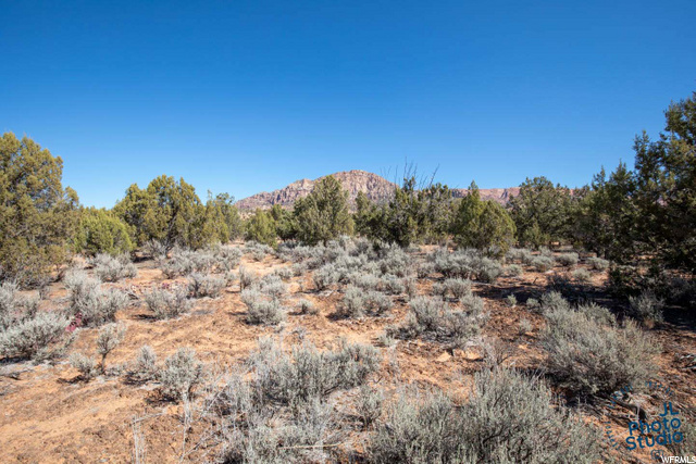 1295 E Cedar Dr, Apple Valley, UT 84737 — photo 4