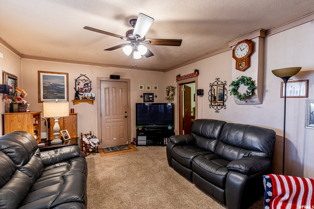 590 E 200 S, Mt Pleasant, UT 84647 — photo 3