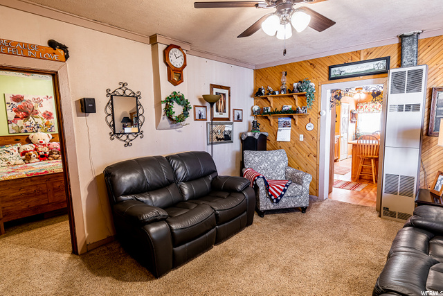 590 E 200 S, Mt Pleasant, UT 84647 — photo 5