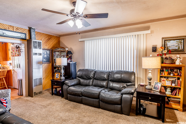 590 E 200 S, Mt Pleasant, UT 84647 — photo 4