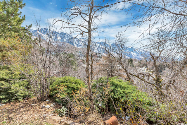 3202 E 10000 S, Sandy, UT 84092 — photo 2