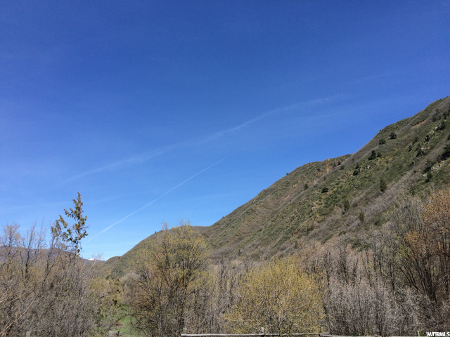 3000 E Lefthand Fork #40, Springville, UT 84663 — photo 4