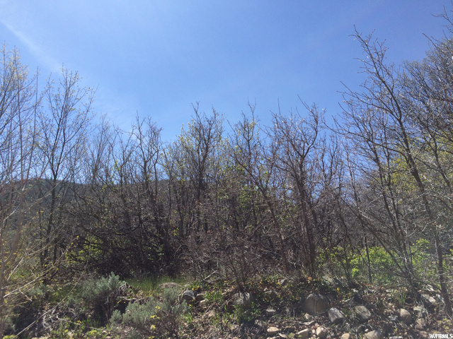 3000 E Lefthand Fork #40, Springville, UT 84663 — photo 2