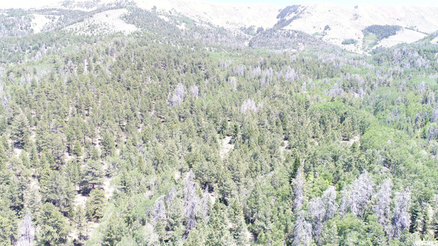 Torrey, UT 84775 — photo 10