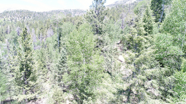 Torrey, UT 84775 — photo 11