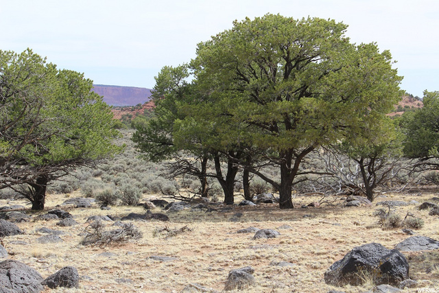 1100 S 1900 E, Teasdale, UT 84773 — photo 4
