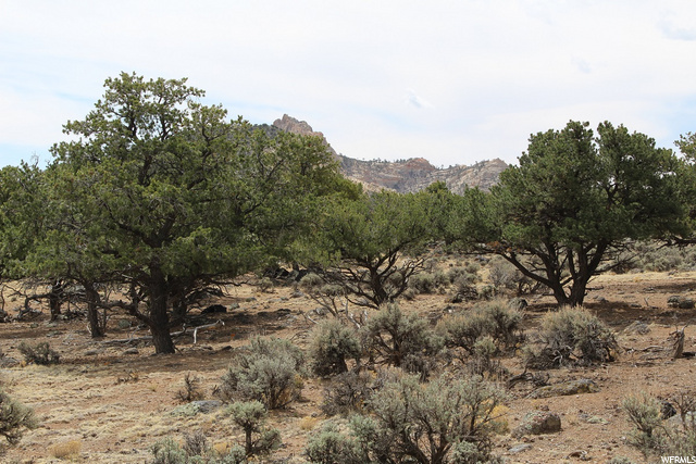 1100 S 1900 E, Teasdale, UT 84773 — photo 5